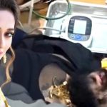 হাসপাতালের বিছানায় শুয়ে মিমিকে হুঁশিয়ারি তনয়ের, গুরুত্ব দিলেন না অভিনেত্রী