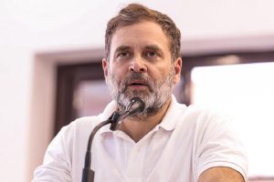 শহীদ মিনারের ময়দানে সভার অনুমতি পেলেন রাহুল