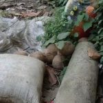 প্রচারের অন্তিম মুহূর্তে সাতসকালে বোমা উদ্ধার ঘিরে চাঞ্চল্য হাবড়া বিধানসভা এলাকায়