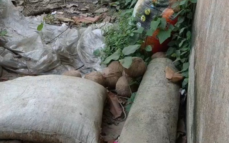 প্রচারের অন্তিম মুহূর্তে সাতসকালে বোমা উদ্ধার ঘিরে চাঞ্চল্য হাবড়া বিধানসভা এলাকায়