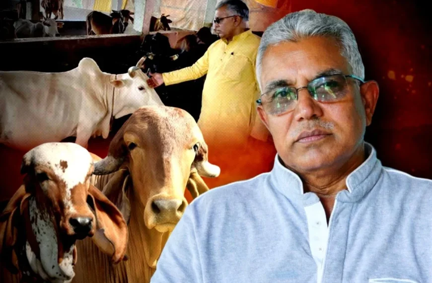 “গরুকে আদর করলে মুহূর্তের মধ্যেই&hellip;