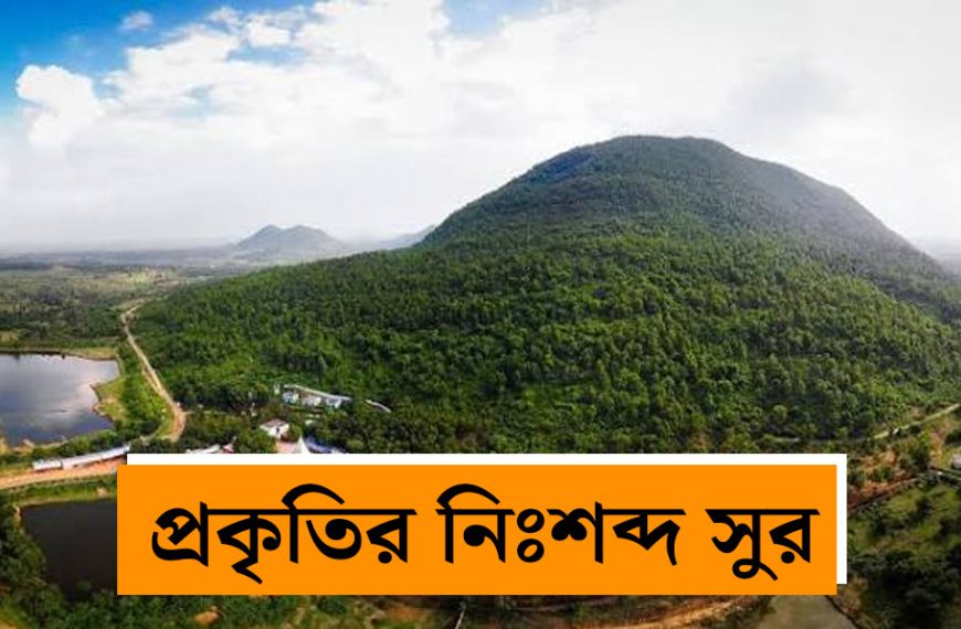 Escape from the hustle and bustle of the city: Make your two-three-day vacation memorable by visiting Bankura's highest hill, 'Biharinath'