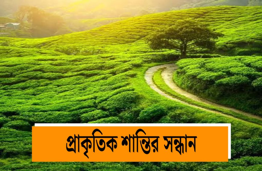 Escape the crowds of Darjeeling and find natural peace in Palakhola, Tode-Tangta and Lungchu