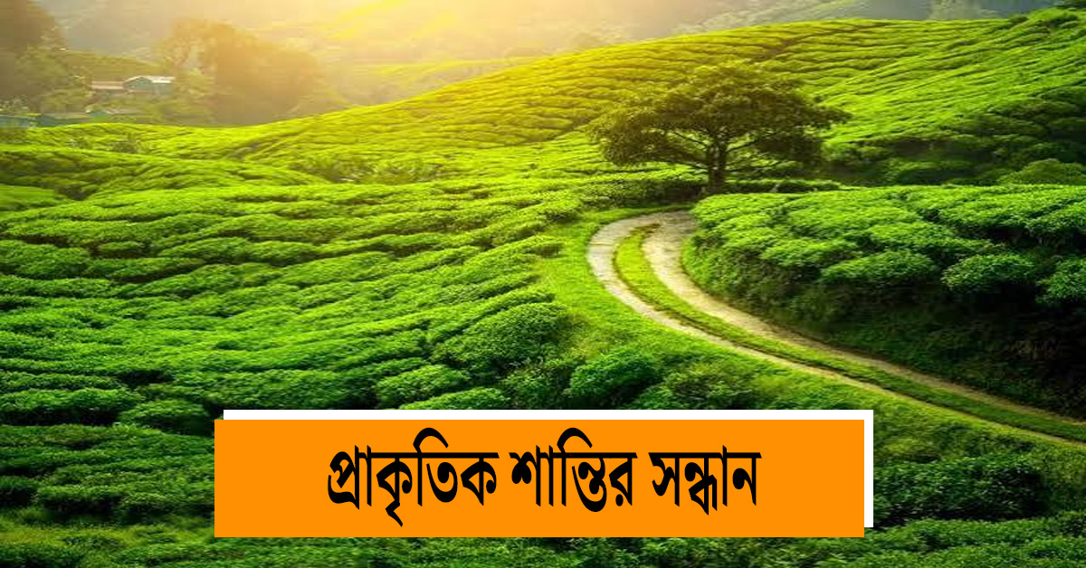 Escape the crowds of Darjeeling and find natural peace in Palakhola, Tode-Tangta and Lungchu