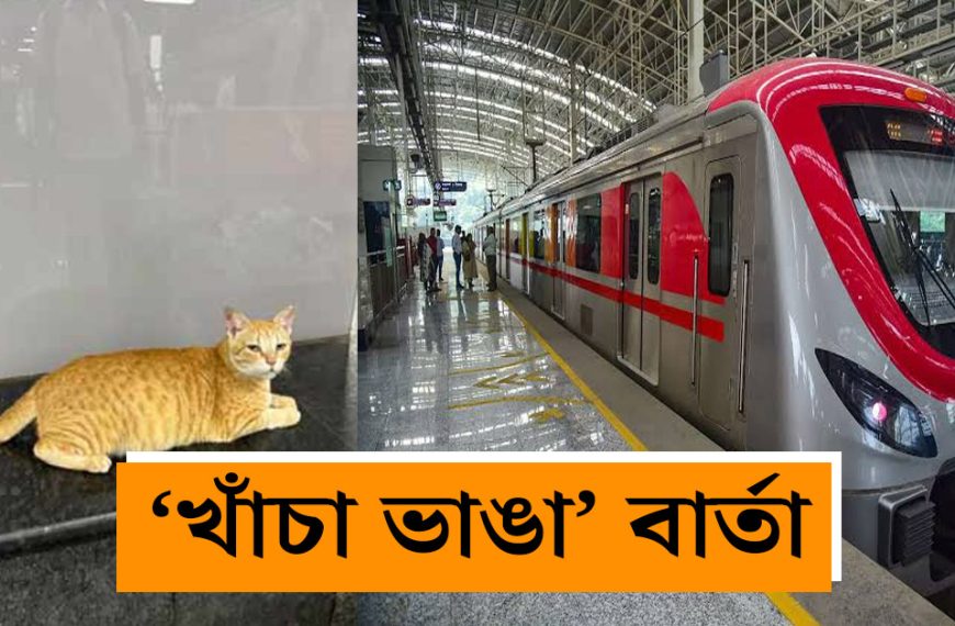 Mumbai Metro's 'Chief Feline Officer', the yellow cat Margaret, appointed to a hit position!