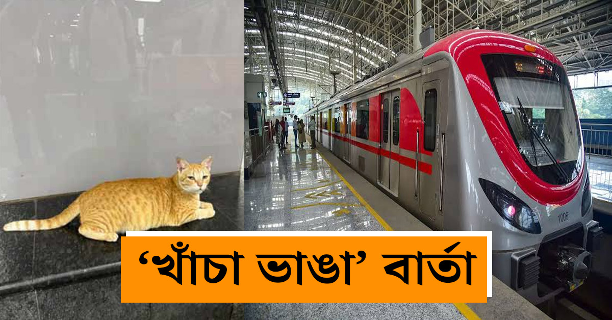 Mumbai Metro's 'Chief Feline Officer', the yellow cat Margaret, appointed to a hit position!