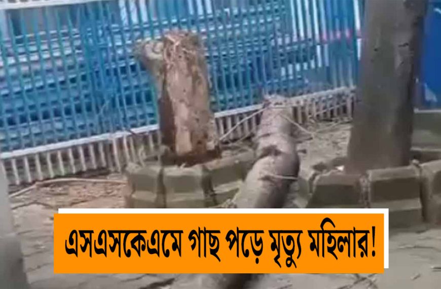 Woman died after tree fallen over her in SSKM hospital
