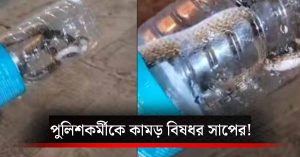 থানায় ঢুকে ডিউটিরত পুলিশকর্মীকে কামড়াল বিষধর সাপ! বোতলে&hellip;